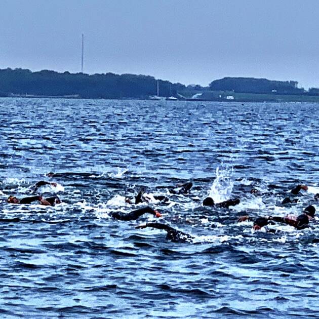 Zwemmmen Brouwersdam