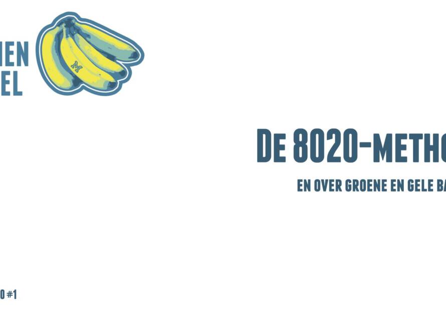 uitleg1 8020