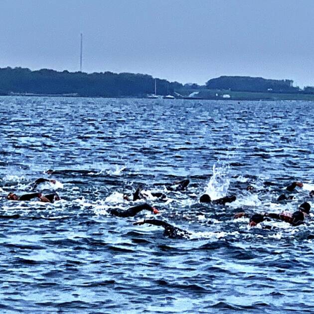 Zwemmmen Brouwersdam